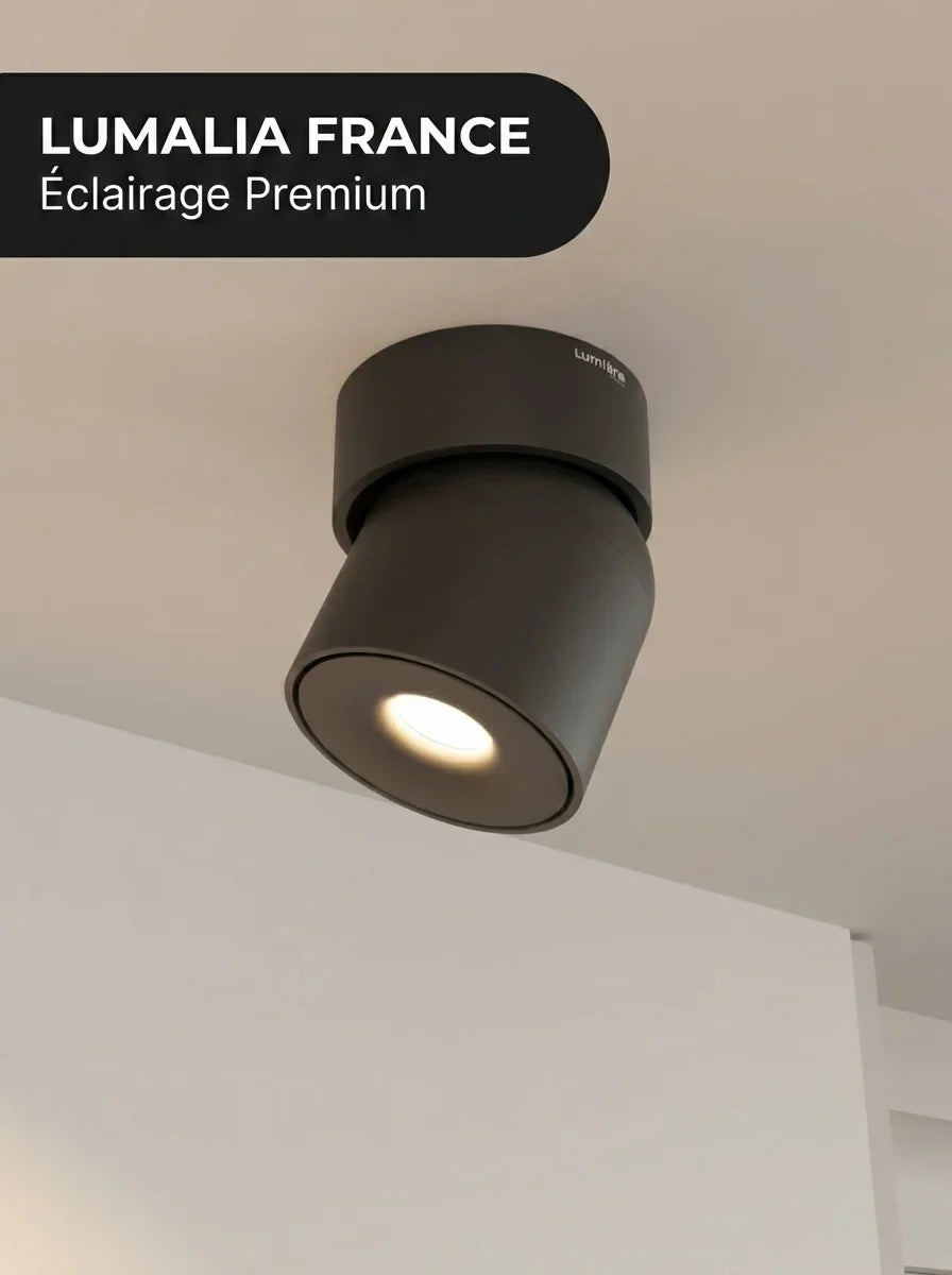 Plafonnier Esol vue détail spot orientable aluminium - Lumalia