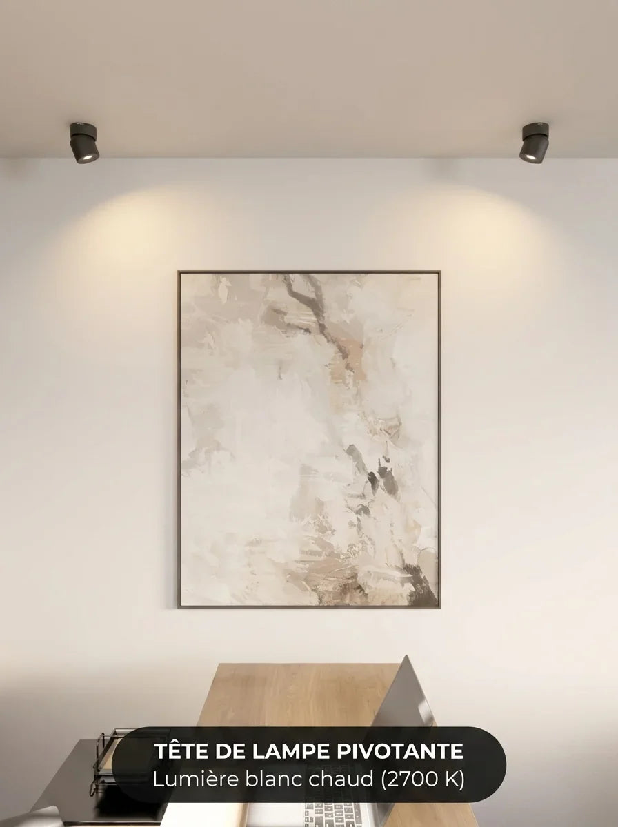 Plafonnier Esol vue détail spot orientable 350 - Lumalia